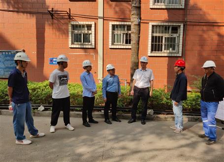 何勇、韋克雪到柳州市城市更新項(xiàng)目進(jìn)行調(diào)研指導(dǎo)工作
